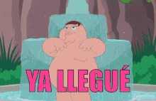 Ya Llegue Amigos GIF - Family Guy Naked Fly GIFs