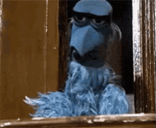 reaction muppets weirdos blue dude