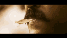 movie charan