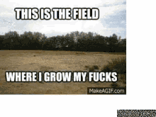 fucks field