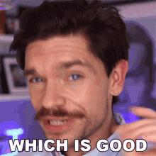 Which Is Good Robin James GIF - Which Is Good Robin James Not Bad Actually GIFs