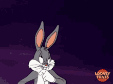 Bugs Bunny Looney Tunes GIF - Bugs Bunny Looney Tunes Wow GIFs