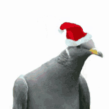 Secret Santa GIF - Secret Santa Pigeon GIFs