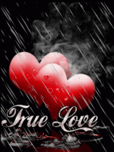 True Love GIF - True Love Omg GIFs
