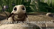turtle sneek