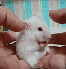 Surprise Funny GIFs | Tenor