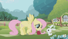 mlpfim mlp sharing sharing is caring fluttershy