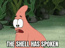The Shell Has Spoken GIF - The Shell Has Spoken Shell GIFs