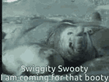 Swiggity Swooty GIF - Swiggity Swooty I Am GIFs