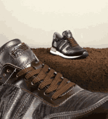 de niro boots dressage boots shoes gee gee equine de niro boots dressage boots shoes gee gee equine
