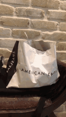 Cats Bags GIF - Cats Bags American Eagle GIFs