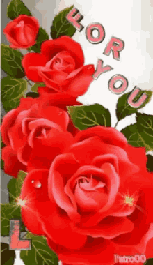 Red Roses GIF - Red Roses For GIFs