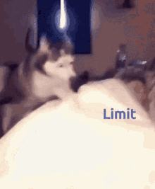 Limit Infinity GIF - Limit Infinity GIFs