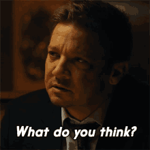 What Do You Think Mike Mclusky GIF - What Do You Think Mike Mclusky Jeremy Renner GIFs