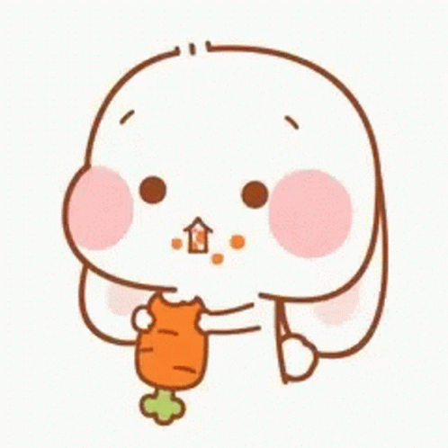 bunny-cute.gif