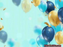 Birthday South Conclave GIF - Birthday South Conclave Y2j GIFs
