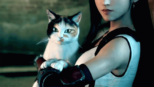 Cat Good Kitty GIF - Cat Good Kitty Cloud Strife - Discover &amp; Share GIFs