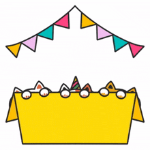 birthday birthday