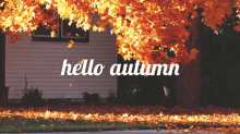 Hello Autumn - Fall GIF - Fall Autumn Hello Autumn GIFs