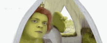 Shrek Reface GIF - Shrek Reface GIFs