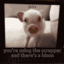 Ror2 Pig GIF - Ror2 Pig Bison GIFs
