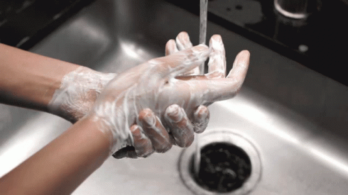 Wash Hands GIFs | Tenor