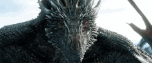 drogon disapproval got game of thrones
