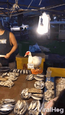 selling fish vendor duck seller cute