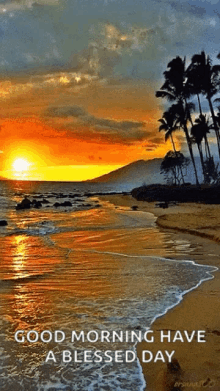 Beach Ocean GIF - Beach Ocean Sunset GIFs
