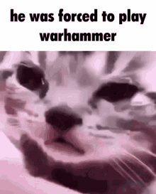 He Was Forced To Play Warhammer Aos GIF - He Was Forced To Play Warhammer Forced Warhammer GIFs