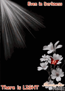There Is Light Flower GIF - There Is Light Flower Even In Darkness There Is Light GIFs