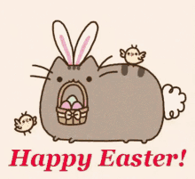 Easter Bunny GIF - Easter Bunny Cat GIFs