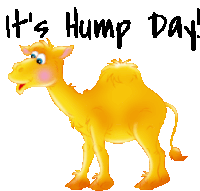 Wednesday Hump Day Motivation Animated Stickers Sticker - Wednesday Hump Day Motivation Animated Stickers Stickers