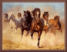 Mongol Horse GIF - Mongol Horse Horses GIFs