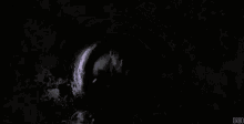 Shawshank Crawling GIF - Shawshank Crawling Tunnel GIFs