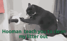 Cat Teach You GIF - Cat Teach You Litter GIFs