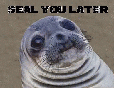See You Later Seal You Later GIF - See You Later Seal You Later See Ya GIFs