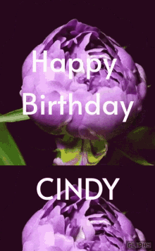 Happy Birthday Cindy Gif Happy Birthday Cindy Discover Share Gifs