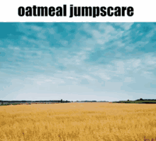 Oatmeal Jumpscare GIF - Oatmeal Jumpscare Funny GIFs