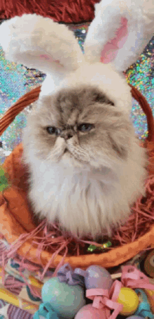 Easter Kitty GIF - Easter Kitty Cat GIFs