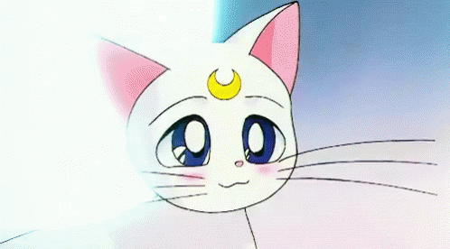 Gif Sailor Moon Luna The Cat Luna Discover Share Gifs