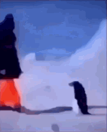 Penguin Attack GIF - Penguin Attack Missile GIFs