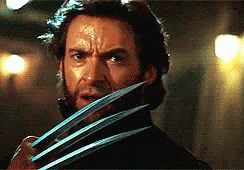 Wolverine X Men GIF - Wolverine X Men Flipoff - Discover & Share GIFs