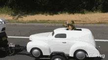 Cool Dog Chilling GIF - Cool Dog Chilling Cruising GIFs