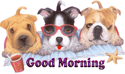 Good Morning Dogs Sticker - Good Morning Dogs Puppy Stickers