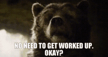 The Jungle Book Baloo GIF - The Jungle Book Baloo No Need To Get Worked Up GIFs
