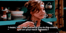 tv shows friends quotes rachel green kick you in the crotch