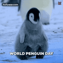 Penguin Day.Gif GIF - Penguin Day Wishes Penguin GIFs