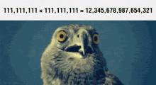 math confused eagle
