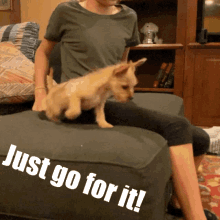 Just Do It Puppy GIF - Just Do It Puppy Jump GIFs